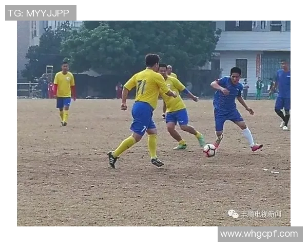 王老吉足球明星背后的故事与成就解析