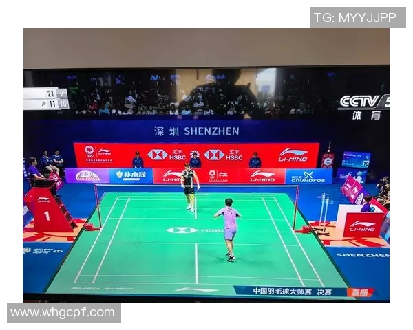 深圳羽毛球队在全国羽毛球比赛经验排行榜中荣登第五名的辉煌成就